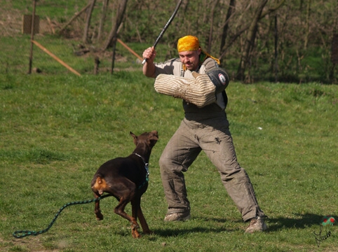 Chocolade Lehmannsfelsen - training 4. 4. 2007